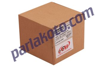 AEM 351521R Renault Clio III Master IV Sis Lambası 631234 9520 Sağ