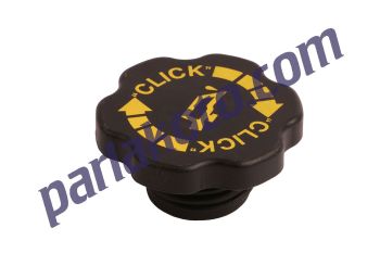 Exxel B03050838 Motor Yağ Kapağı Kapak Ford Escort 1995-2000 Puma 1997-2001 Focus 1999-2005 Fiesta 1989-2002 XS7G6766AB