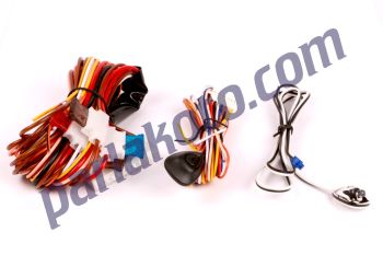 Inwells 023003 Alarm Sustalı 12V